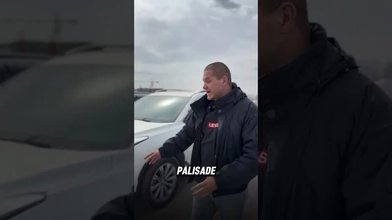 ЧЕМ МОЖНО ЗАМЕНИТЬ PALISADE?!