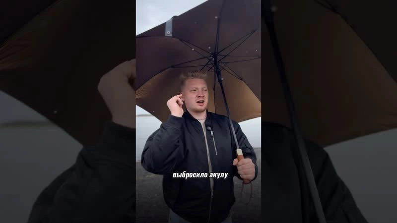 Акулу выбросило во Владивостоке! 2025